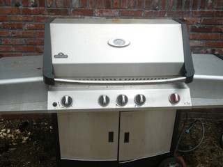 Grill Before Cleaning