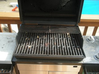 Grill Before Cleaning